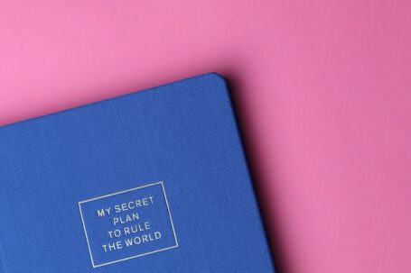 Business Planning - My Secret Plan to Rule the World Book