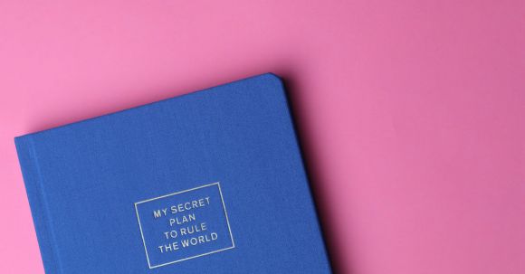 Business Planning - My Secret Plan to Rule the World Book